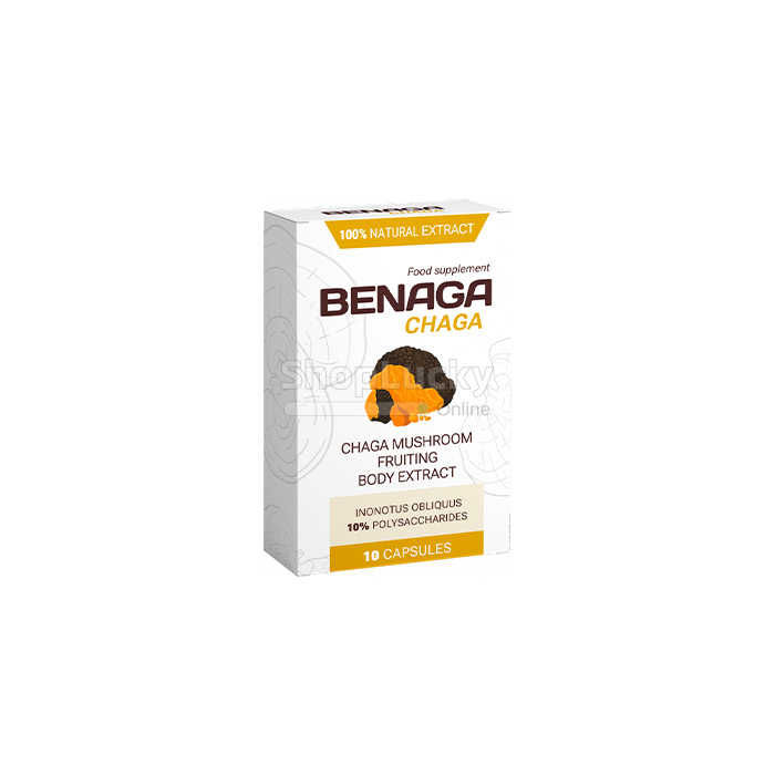 Benaga Chaga